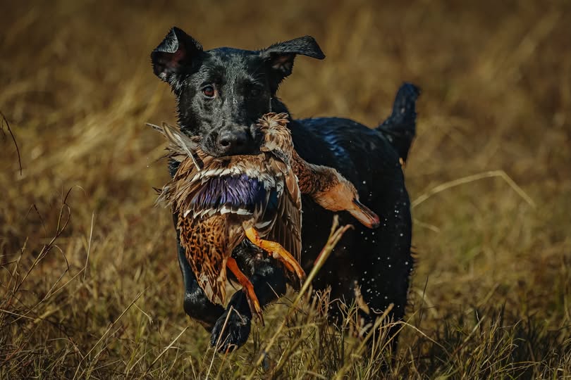 2025 Master National Photos