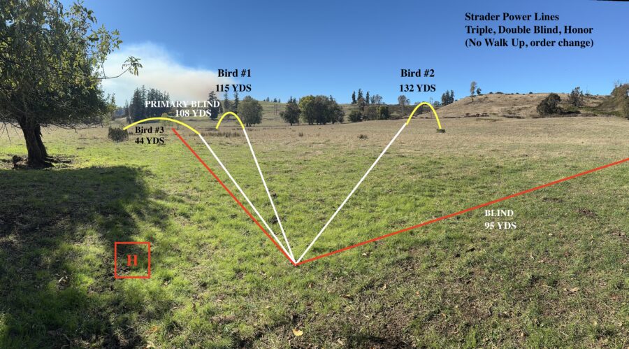 Series 4 Flights and Tests