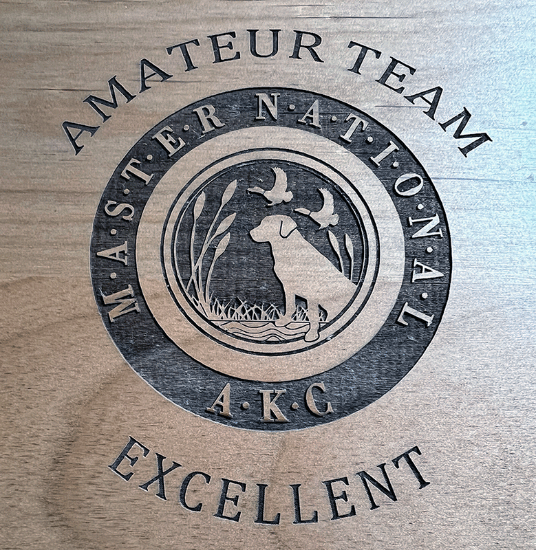 2025 Amateur Team Award Winners