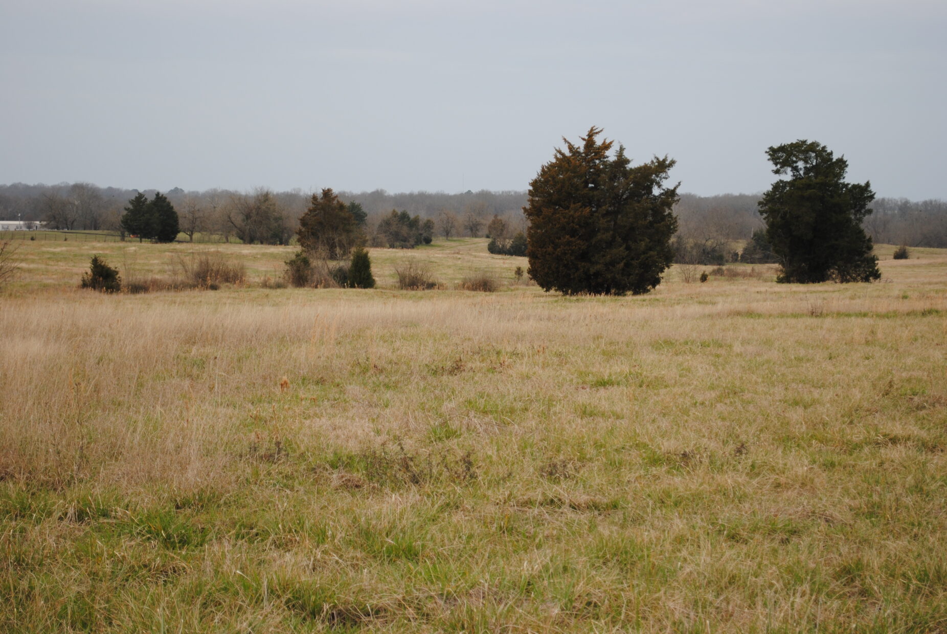 Alabama State Cattle Ranch - February 2012 - Master National Retriever Club