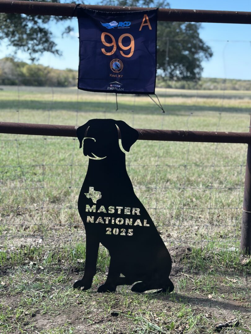 For Sale: Guardian Dogs and Gun Stands