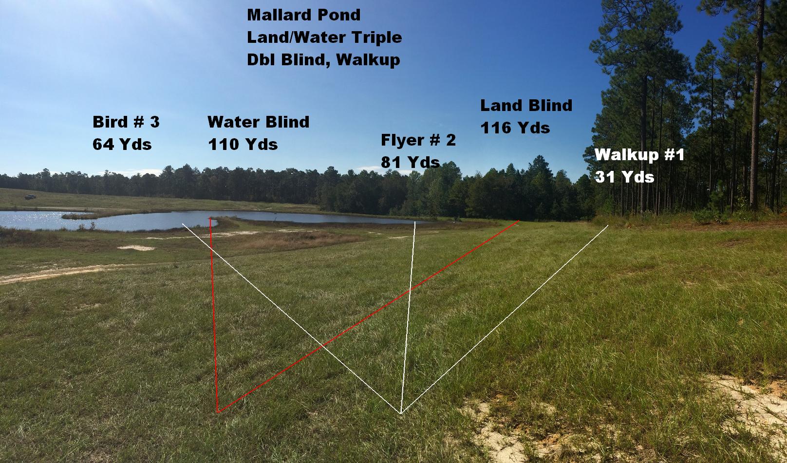 Mallard Pond Land-Water-Final (1)