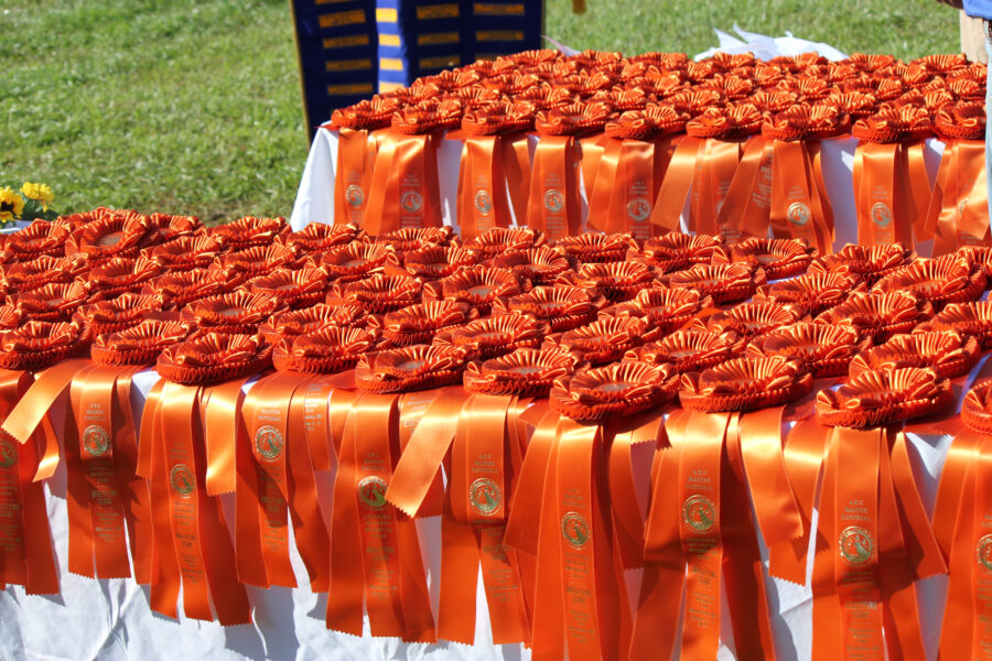 2026 Master National Slate of Judges