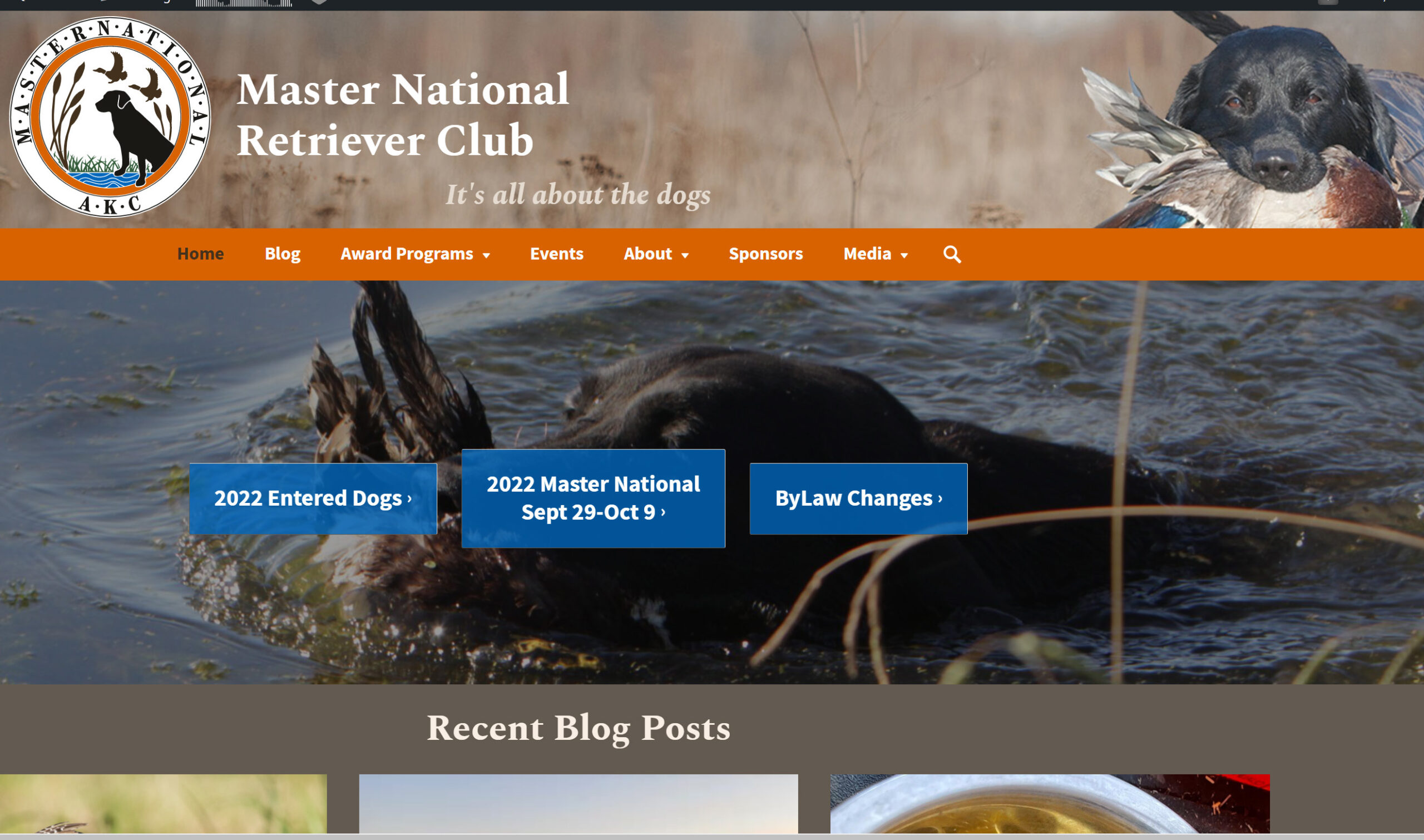A New Look for Master National Retriever Club