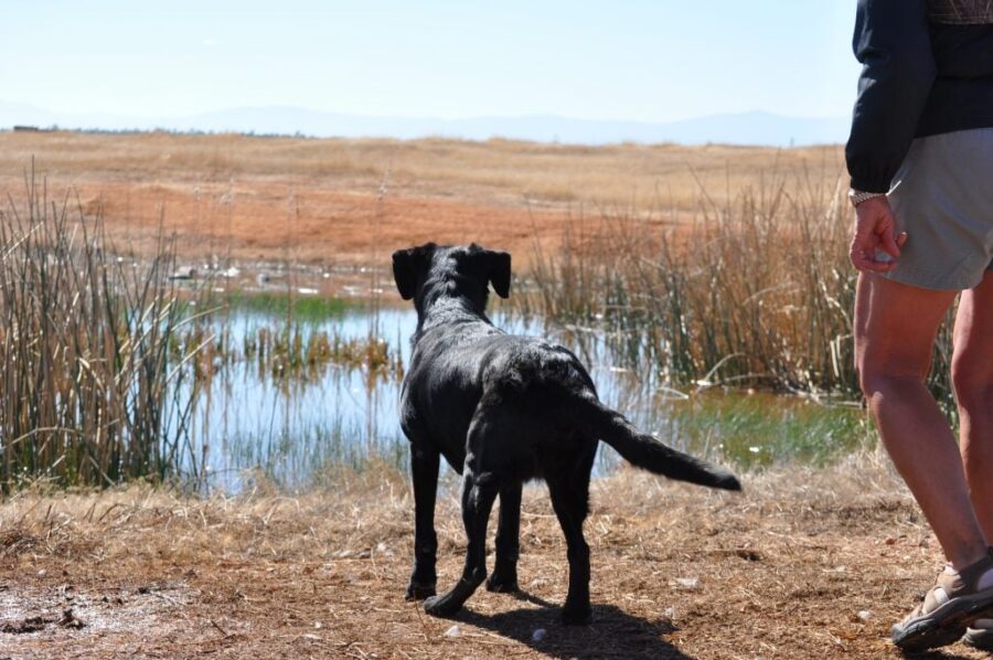 Updated: Qualifiers for 2026 Master National