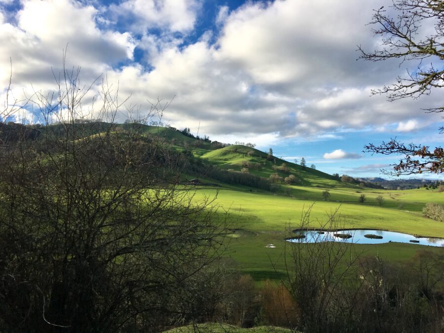 2026 Event Set for Oregon, Unlimited Entries