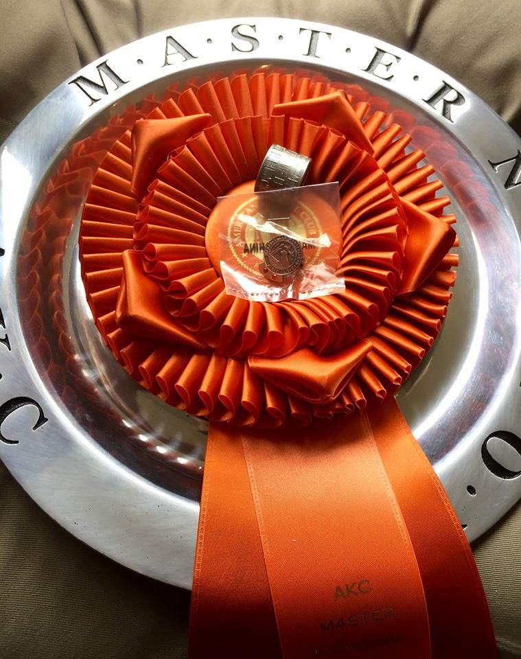 PAWS-itive Perspectives from the Master National Retriever Club