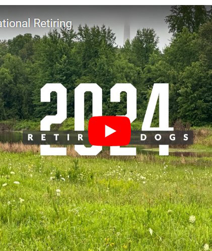 2024 Retiring Dog Video