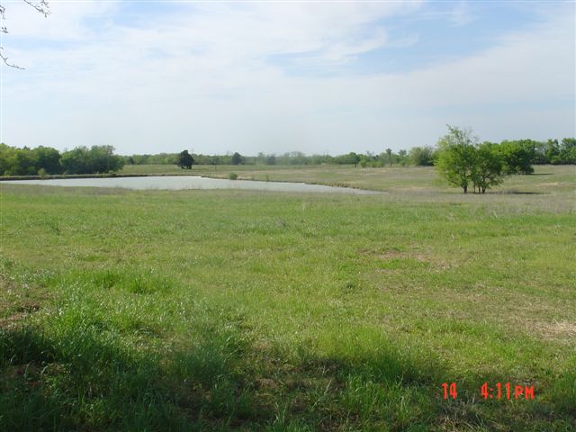 Sullivan Pond from the SE side