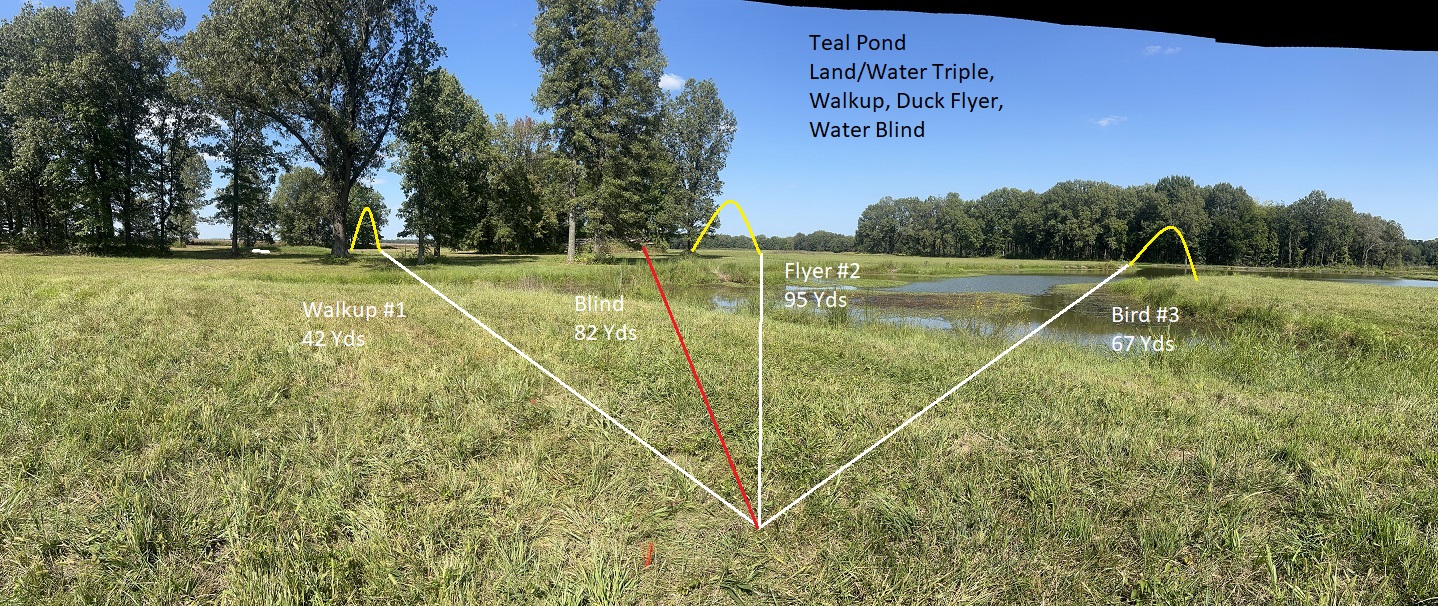 Teal Pond Master National Retriever Club