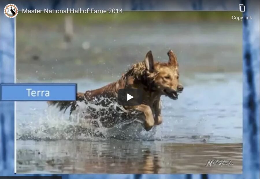 First Call for Photos for Hall of Fame and Retiring Videos