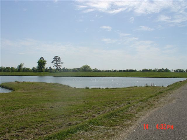 Warden's Pond looking SW from the road