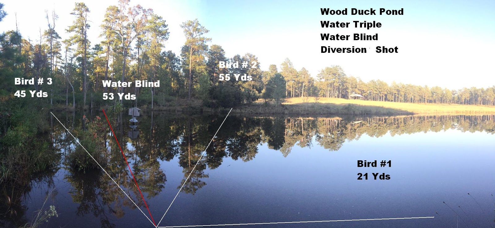 Wood Duck Pond Water-Final (1)
